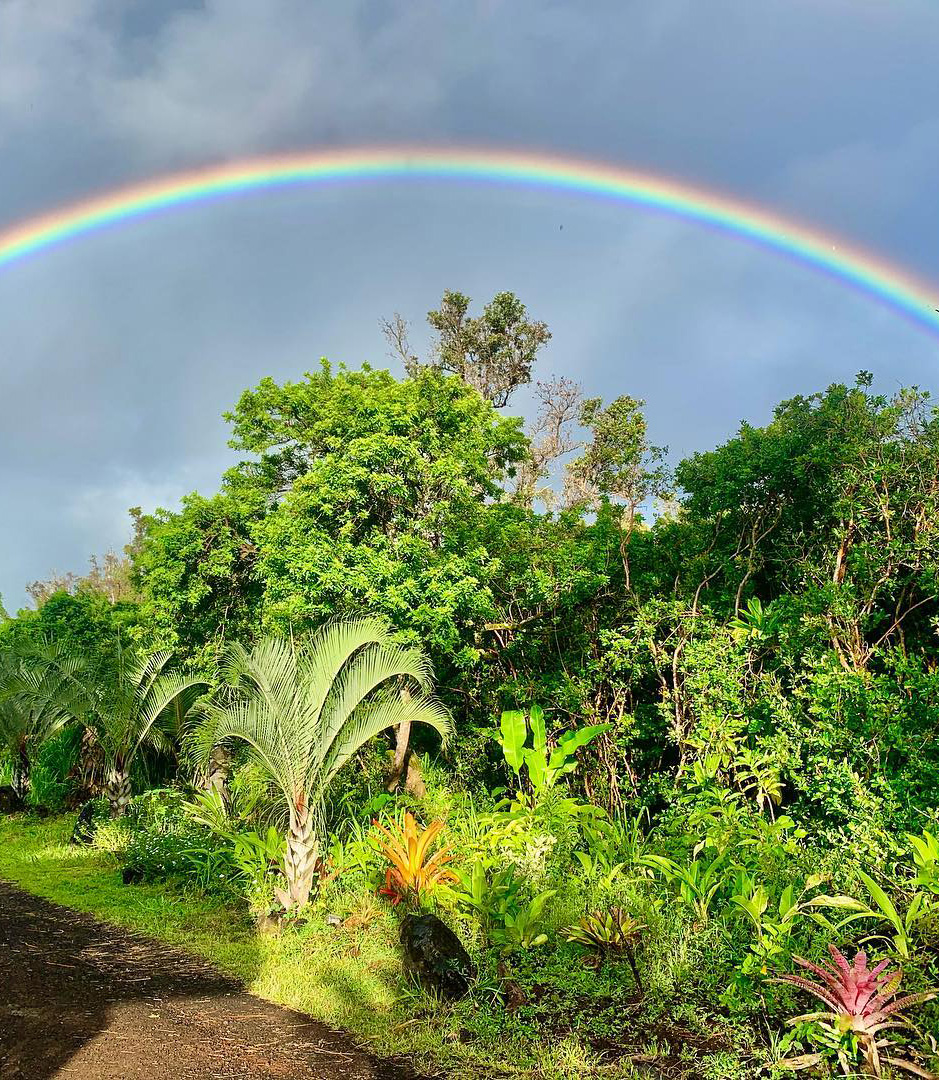 A rainbow arcing over the gardens at Sundari Farm & Gardens
